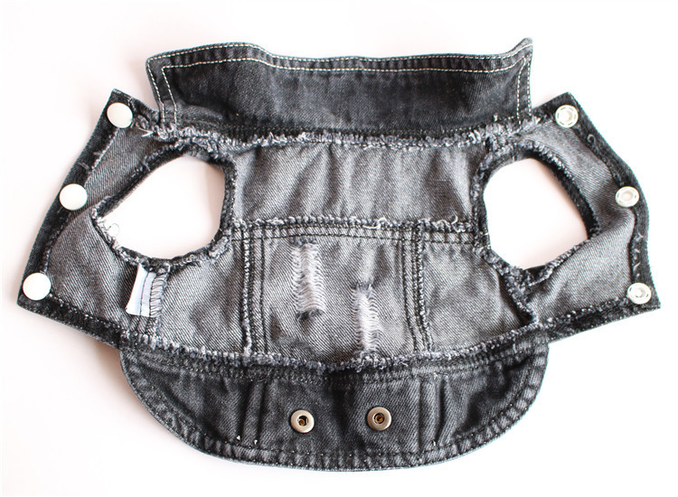 Vestiti per animali domestici  - Leather Work Jeans recensione e prezzo